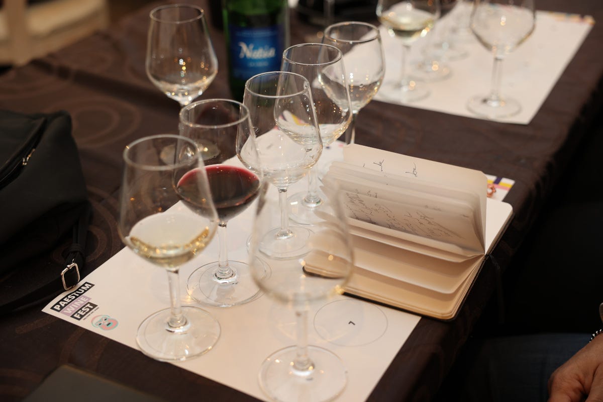 Paestum Wine Fest 2024 a Capaccio: date, programma e tutti i protagonisti